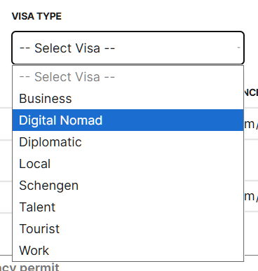 Choose digital nomad as the visa type
